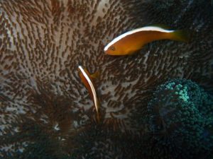 新シーズンスタート